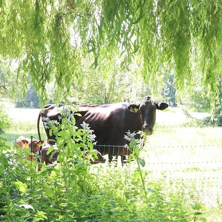 Casa de Férias Heinrichs *