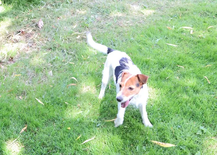 Prázdninový dům Heinrichs