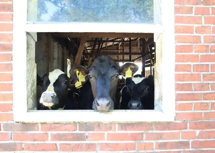 Prázdninový dům Heinrichs *