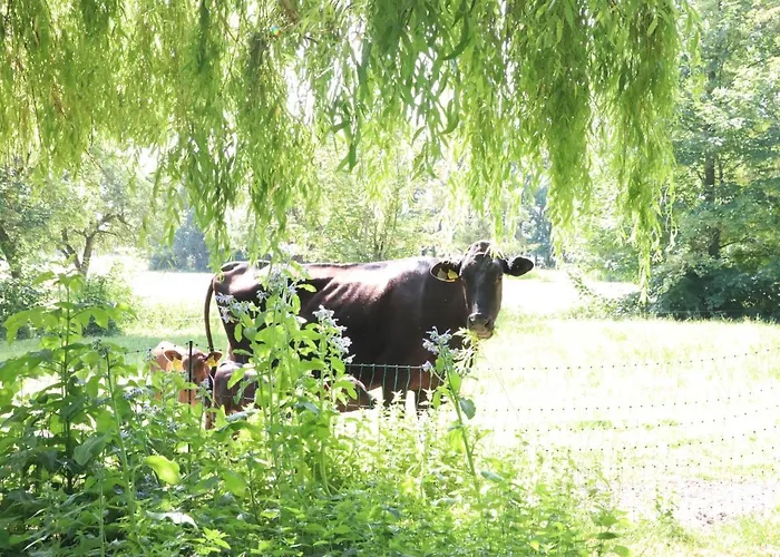 Prázdninový dům Heinrichs *