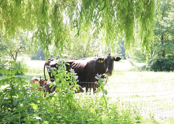 Prázdninový dům Heinrichs